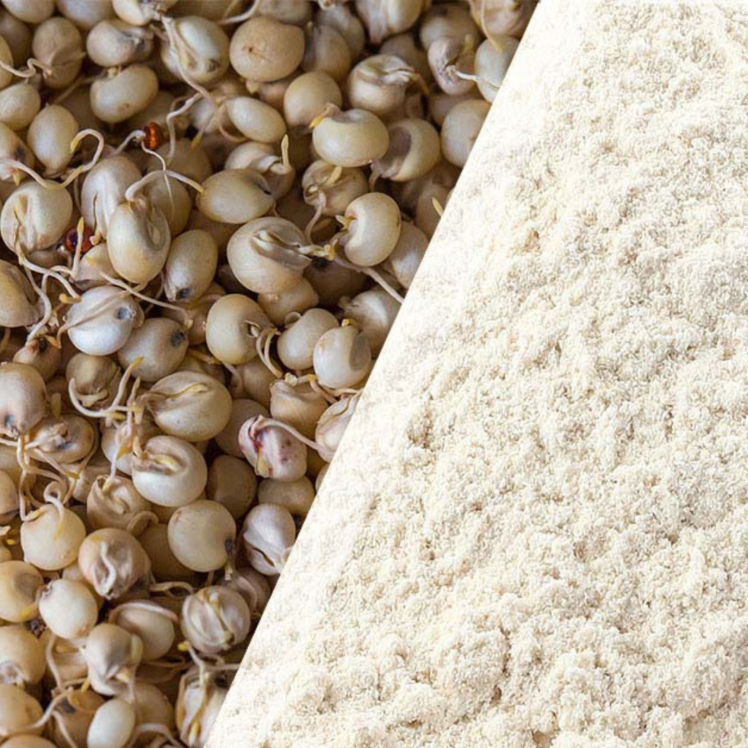 Sprouted Chaya Jowar Flour